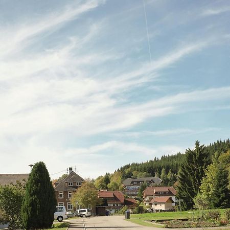 Cozy Holiday Apartment In The Black Forest Dachsberg im Schwarzwald Zewnętrze zdjęcie