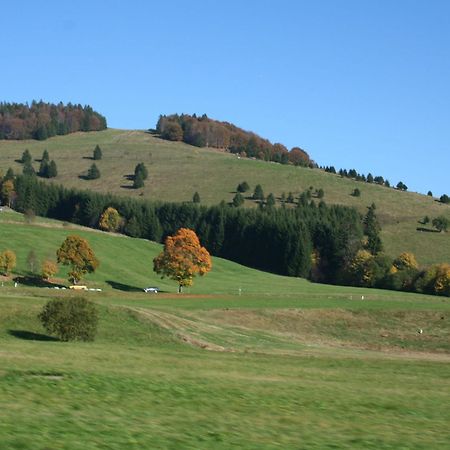 Cozy Holiday Apartment In The Black Forest Dachsberg im Schwarzwald Zewnętrze zdjęcie