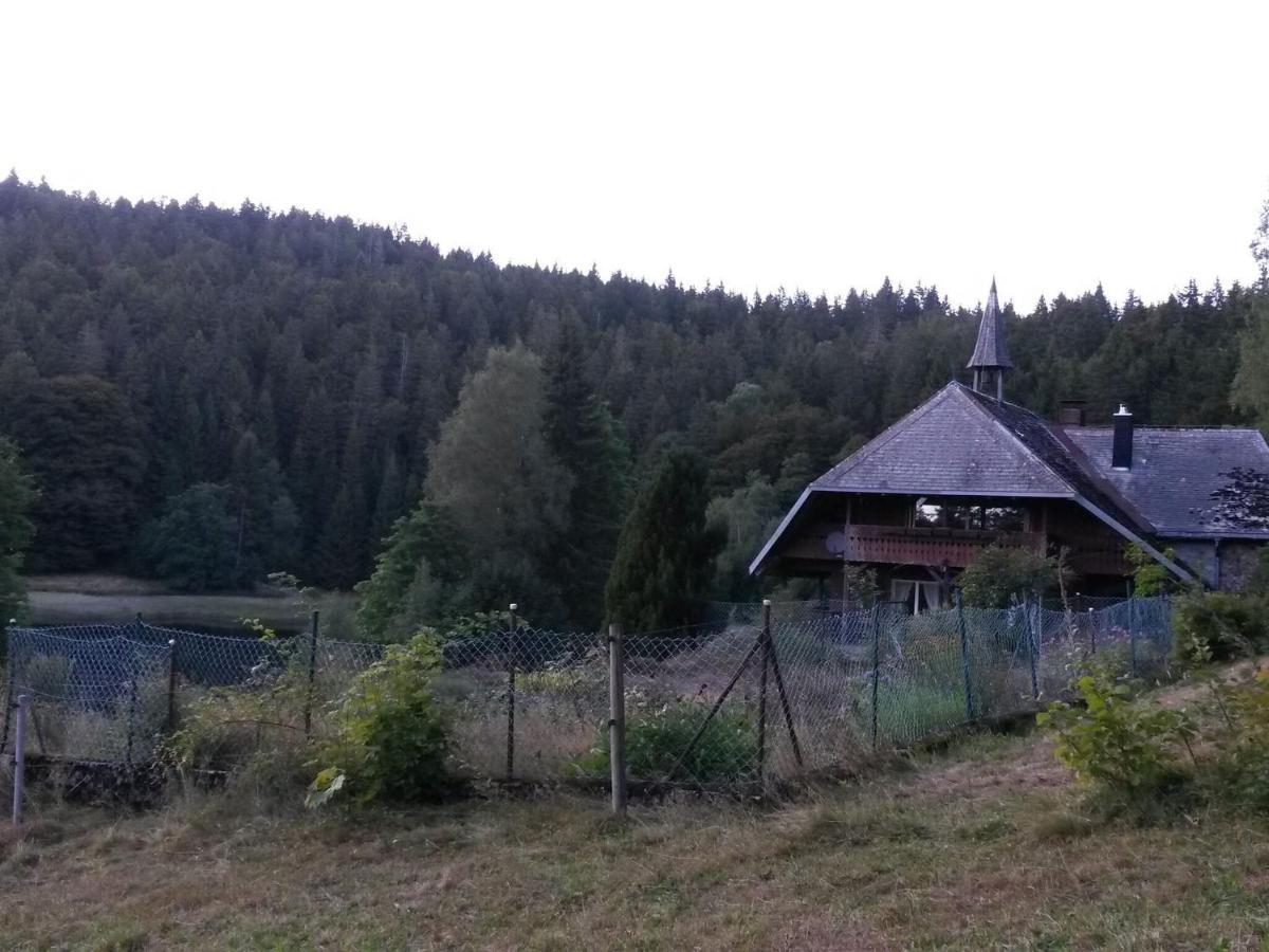 Cozy Holiday Apartment In The Black Forest Dachsberg im Schwarzwald Zewnętrze zdjęcie