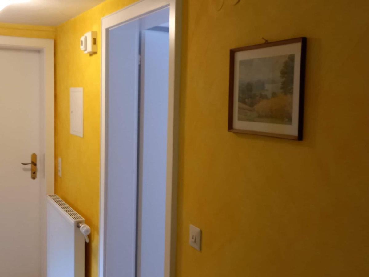 Cozy Holiday Apartment In The Black Forest Dachsberg im Schwarzwald Zewnętrze zdjęcie