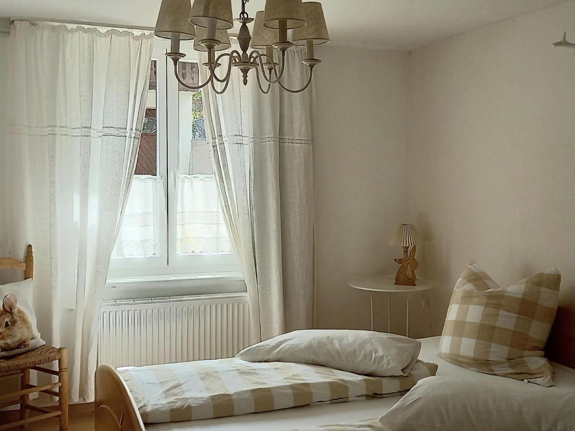 Cozy Holiday Apartment In The Black Forest Dachsberg im Schwarzwald Zewnętrze zdjęcie