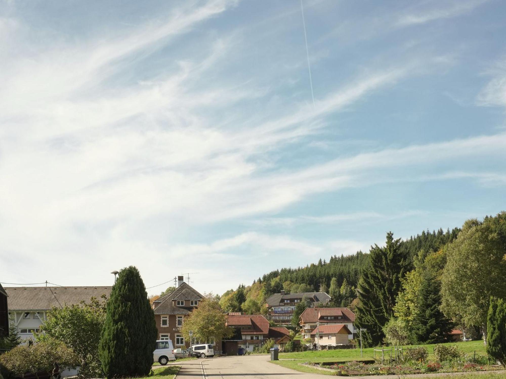 Cozy Holiday Apartment In The Black Forest Dachsberg im Schwarzwald Zewnętrze zdjęcie