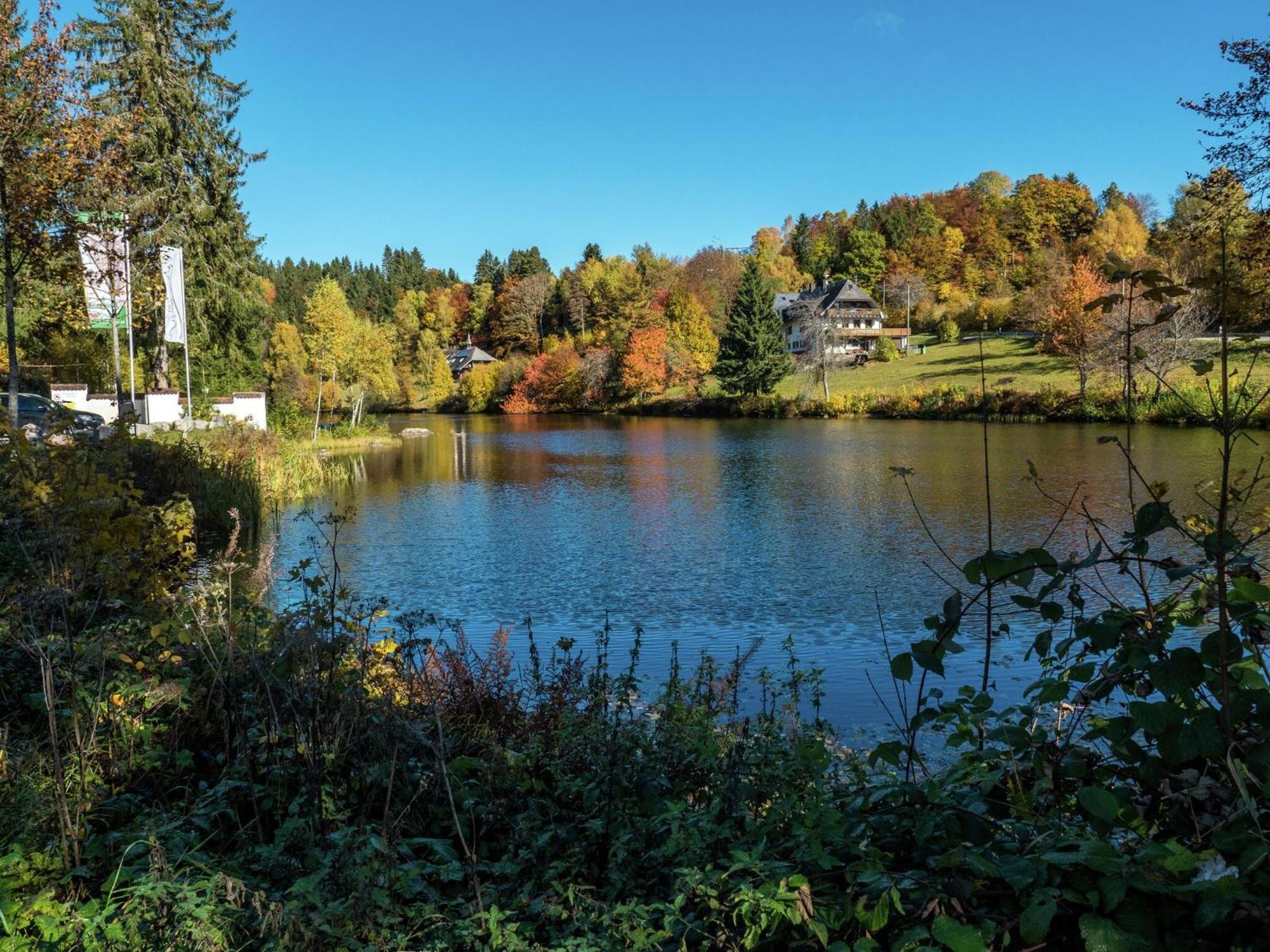 Cozy Holiday Apartment In The Black Forest Dachsberg im Schwarzwald Zewnętrze zdjęcie